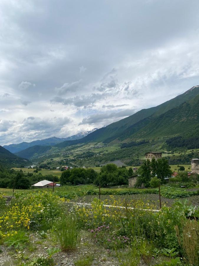 Vodo'S Guesthouse Chvabiani Kültér fotó