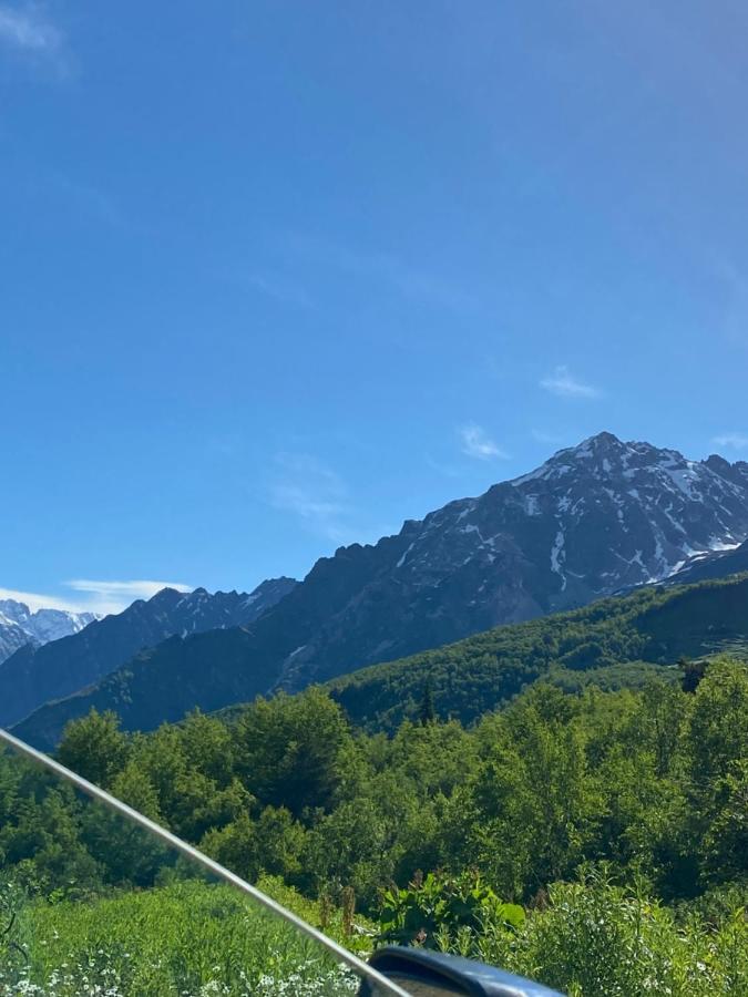 Vodo'S Guesthouse Chvabiani Kültér fotó